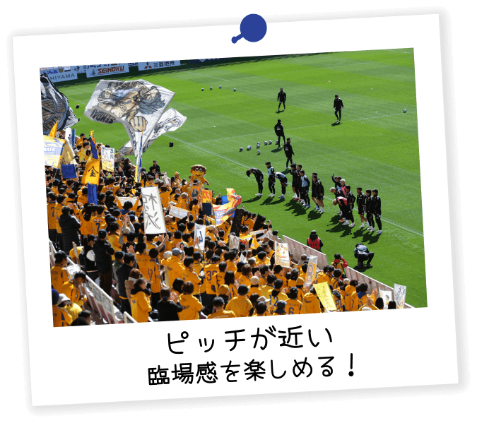 ピッチが近い 臨場感を楽しめる!
